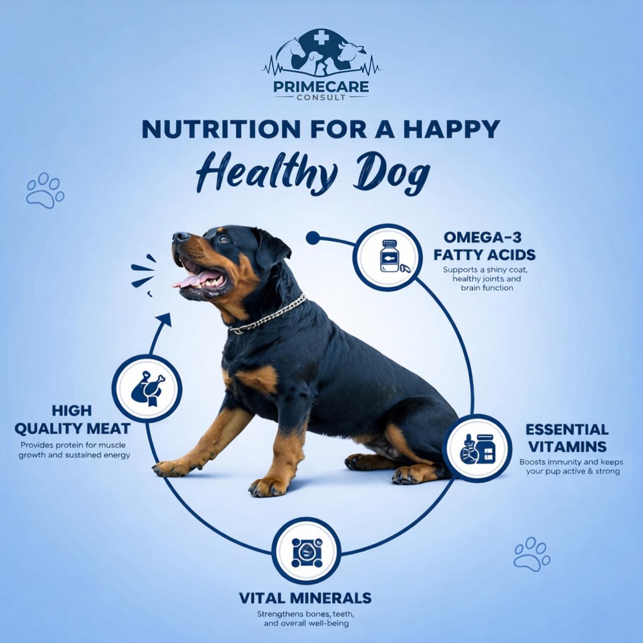 For Cats and Dogs